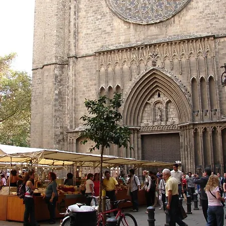 Fina Barcelona